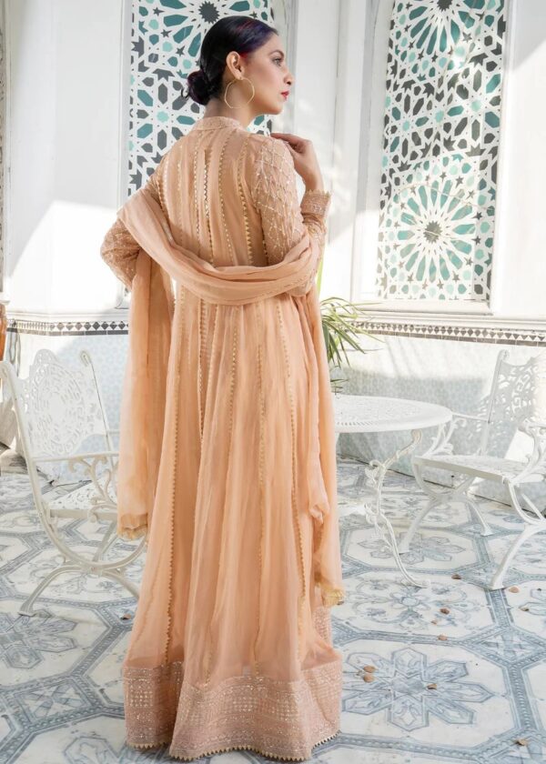 3 Piece Chiffon Embroidered Maxi Dress - Peach